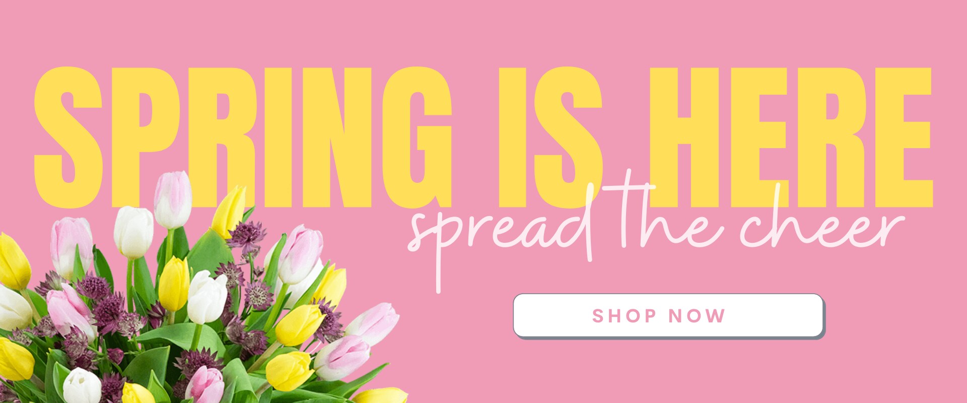 Salt Lake City, Utah Flower Delivery Service Florist & Floral Shop